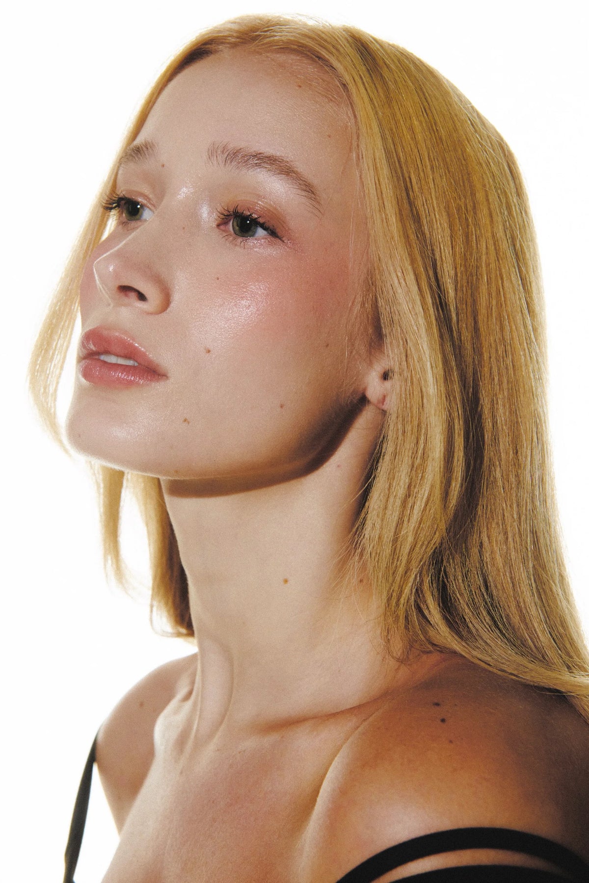 Lazy Blush - Fiber